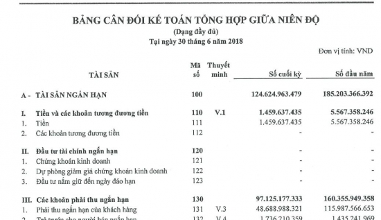 BCTC bán niên tổng hợp