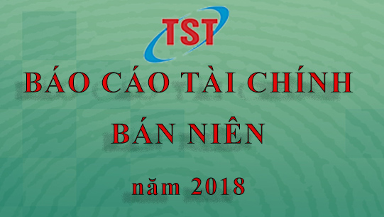 Tổng hợp BCTC BN tổng hợp và BCTC BN hợp nhất năm 2018 (đã kiểm toán)